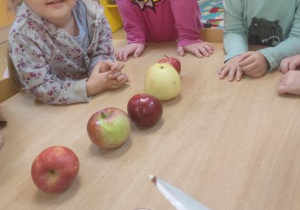 Dzieci oglądają przekrojone jabłka.
